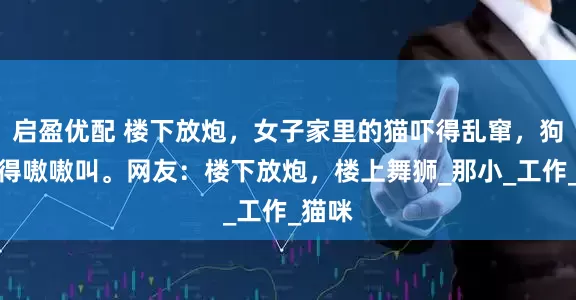 启盈优配 楼下放炮，女子家里的猫吓得乱窜，狗子吓得嗷嗷叫。网友：楼下放炮，楼上舞狮_那小_工作_猫咪