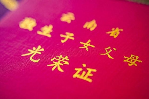 中联亿配 2025养老金涨2%, 独生子女父母额外多涨钱吗? 直接加100元可行吗