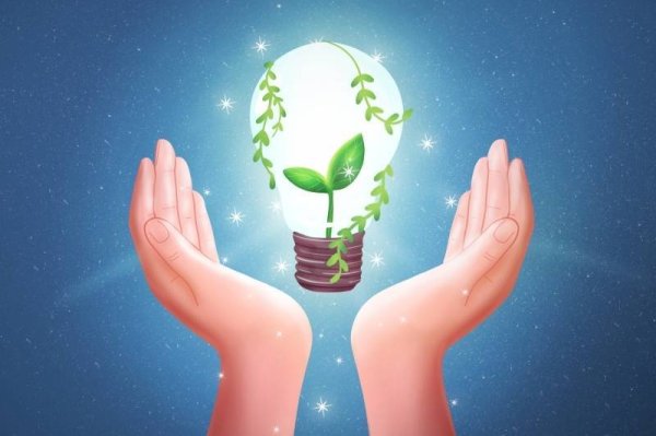 优配利 “反内卷”与“走出去”并行 科创板新能源公司展现增长新动能