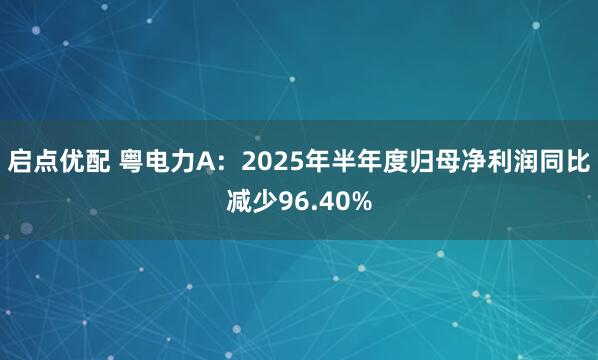 启点优配 粤电力A：2025年半年度归母净利润同比减少96.40%